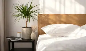 Un angolo rilassante con piante che purificano l'aria in camera da letto. Un vaso con una pianta verde, un piccolo vaso con fiori secchi e libri su un comodino accanto a un letto bianco.
