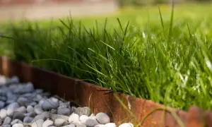 Erba verde rigogliosa, bordata da ghiaia bianca e un profilo in metallo arrugginito. Ottime festuca arundinacea opinioni per un prato resistente.