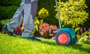 Un giardiniere sparge il fertilizzante con uno spargisemi, preparando il prato per la primavera. Il gramignone in inverno è dormiente, ma ora è il momento di nutrirlo.