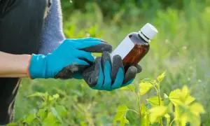 Mani guantate tengono una bottiglia di prodotto per il giardinaggio, forse per valutare la durata effetto diserbante.