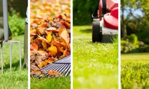 Attrezzi da giardino, foglie autunnali, tosaerba e prato verde: i passaggi per **come rifare un prato già esistente** e mantenerlo rigoglioso.