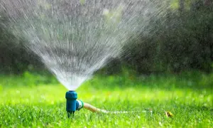 Irrigatore blu in azione su un prato verde brillante, un segnale visivo di quando innaffiare il prato per mantenerlo rigoglioso.