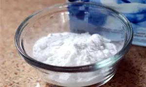 Bicarbonato in una ciotola, pronto per creare un insetticida naturale per piante.