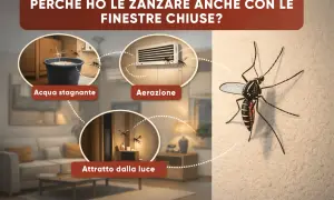 Scopri dove si nascondono le zanzare in casa: acqua stagnante, aerazione e luce sono i loro rifugi preferiti.