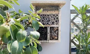 Casa per insetti con canne di bambù, pigne e corteccia, un modo per attirare le api e altri impollinatori nel tuo giardino.