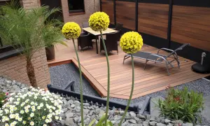 Giardini moderni minimal con tre sfere gialle di Allium, una palma, mobili da esterno e un'elegante recinzione in legno.
