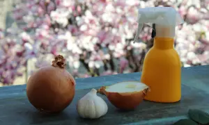 Cipolle, aglio e uno spruzzino giallo suggeriscono un antiparassitario naturale per piante, pronto per proteggere il giardino fiorito.