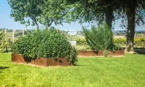 Un giardino con aiuole in acciaio corten cos'è: un materiale resistente e dall'estetica unica che valorizza le piante.