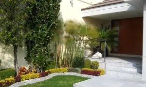Un ingresso esterno casa curato con piante verdi, fiori colorati e papiri, un invito ad abbellire l'ingresso esterno casa con stile.