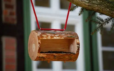 Mangiatoia per uccelli fai da te, un tronco scavato con semi, appeso a un ramo con corda rossa.