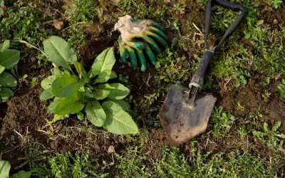 Guanti da giardinaggio e una paletta sono pronti per aiutarti a capire come eliminare le erbacce dal giardino e liberare il terreno.