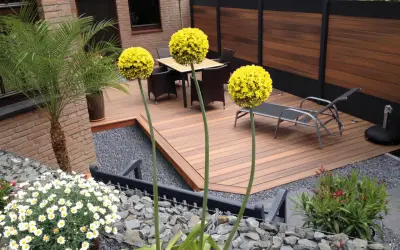 Giardini moderni minimal con tre sfere gialle di Allium, una palma, mobili da esterno e un'elegante recinzione in legno.