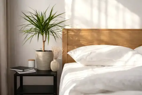 Un angolo rilassante con piante che purificano l'aria in camera da letto. Un vaso con una pianta verde, un piccolo vaso con fiori secchi e libri su un comodino accanto a un letto bianco.