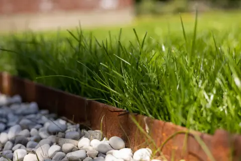 Erba verde rigogliosa, bordata da ghiaia bianca e un profilo in metallo arrugginito. Ottime festuca arundinacea opinioni per un prato resistente.