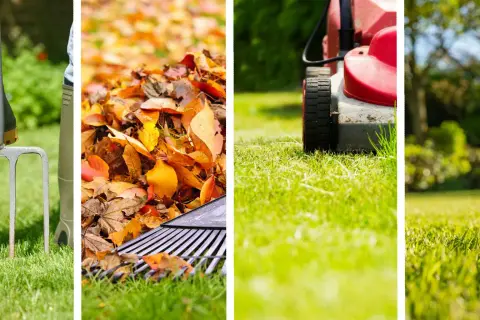 Attrezzi da giardino, foglie autunnali, tosaerba e prato verde: i passaggi per **come rifare un prato già esistente** e mantenerlo rigoglioso.