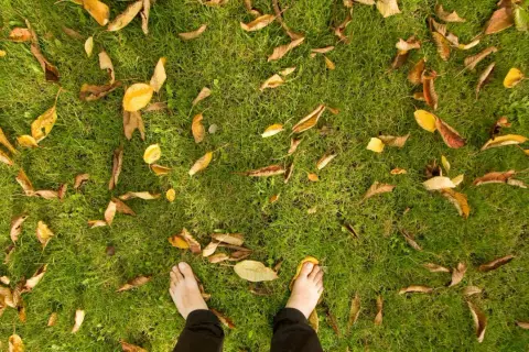 Piedi nudi su un prato autunnale, tra foglie secche e gialle che creano un tappeto colorato.