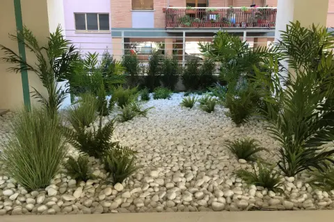 Un rigoglioso giardino a bassa manutenzione con felci e piante verdi su ghiaia bianca, che crea un'oasi moderna e pulita.