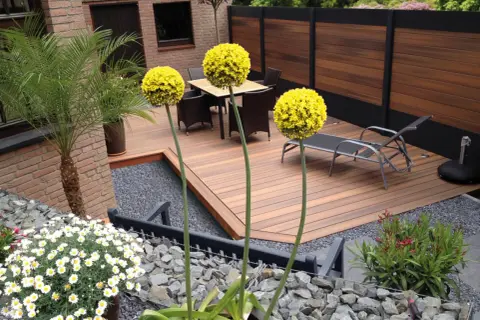 Giardini moderni minimal con tre sfere gialle di Allium, una palma, mobili da esterno e un'elegante recinzione in legno.