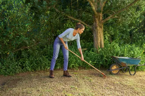 Donna con rastrello prepara il terreno per rifare il prato da zero, con carriola vicina.