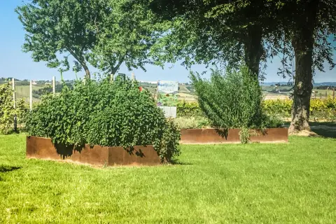 Un giardino con aiuole in acciaio corten cos'è: un materiale resistente e dall'estetica unica che valorizza le piante.