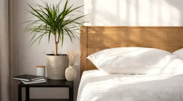 Un angolo rilassante con piante che purificano l'aria in camera da letto. Un vaso con una pianta verde, un piccolo vaso con fiori secchi e libri su un comodino accanto a un letto bianco.