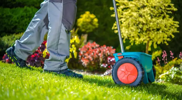Un giardiniere sparge il fertilizzante con uno spargisemi, preparando il prato per la primavera. Il gramignone in inverno è dormiente, ma ora è il momento di nutrirlo.