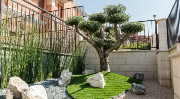 Come arredare un piccolo giardino davanti casa: un ulivo bonsai, erba sintetica, rocce e ghiaia creano un angolo zen.
