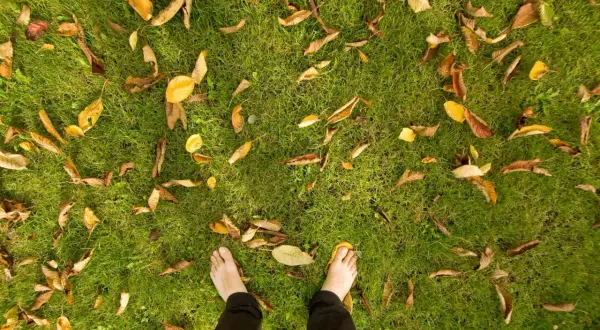 Piedi nudi su un prato autunnale, tra foglie secche e gialle che creano un tappeto colorato.
