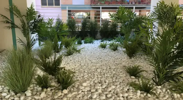 Un rigoglioso giardino a bassa manutenzione con felci e piante verdi su ghiaia bianca, che crea un'oasi moderna e pulita.