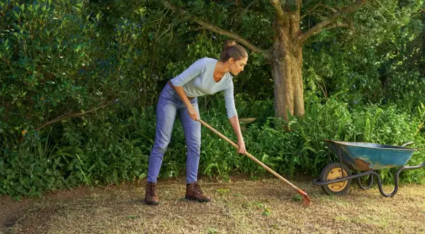 Donna con rastrello prepara il terreno per rifare il prato da zero, con carriola vicina.