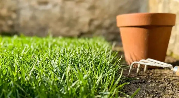Un prato verde e rigoglioso, pronto per essere curato. Un vaso di terracotta e un rastrello suggeriscono come avere un prato senza erbacce.