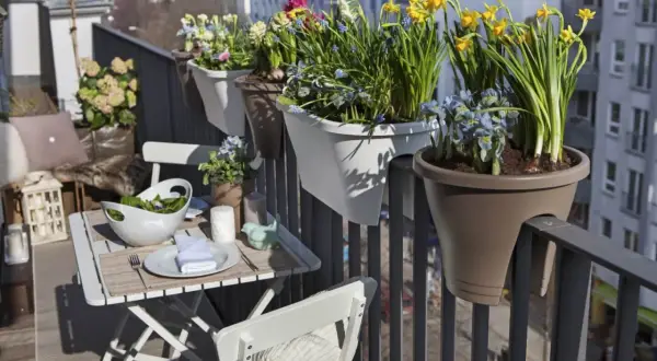 Balcone fiorito con esposizione sud ovest. Tavolino apparecchiato con insalata e fiori primaverili, ideale per godersi il sole.