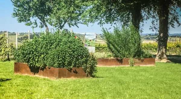 Un giardino con aiuole in acciaio corten cos'è: un materiale resistente e dall'estetica unica che valorizza le piante.