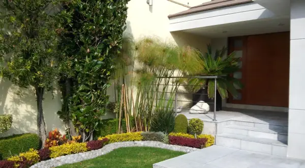 Un ingresso esterno casa curato con piante verdi, fiori colorati e papiri, un invito ad abbellire l'ingresso esterno casa con stile.