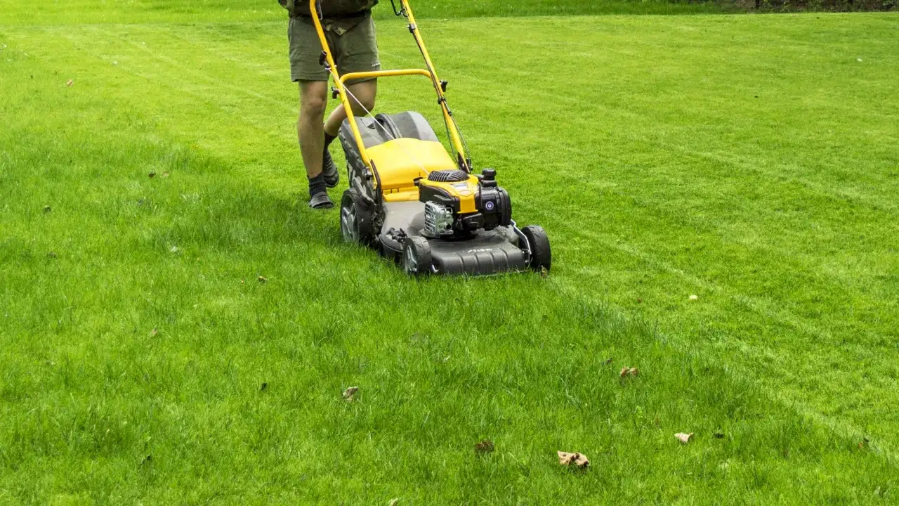 Uomo con tosaerba giallo che taglia un prato verde. Un modo per prendersi cura del giardino e capire come rifare un prato già esistente.