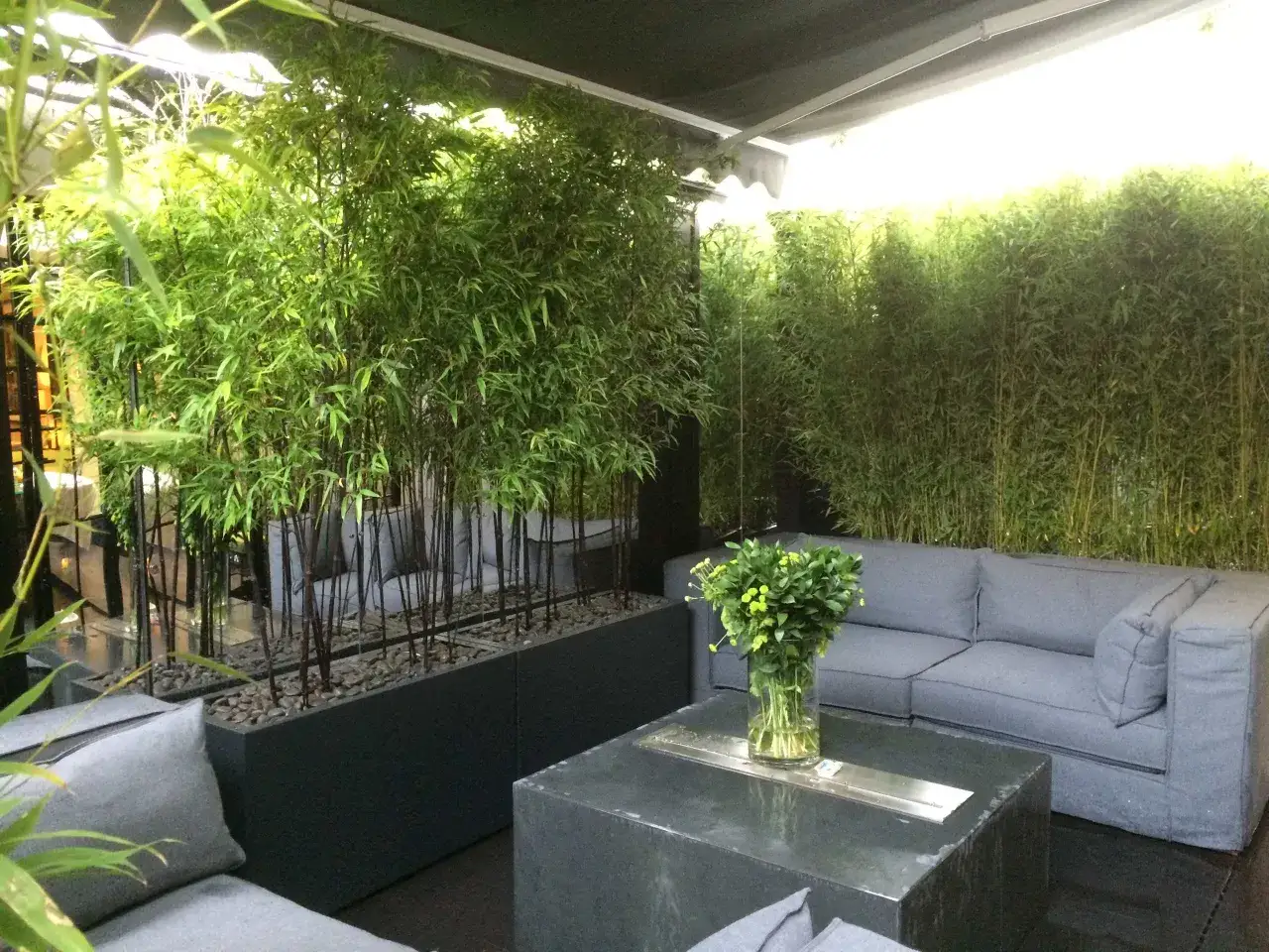 Un piccolo giardino sul terrazzo con bambù rigoglioso, divani grigi e un tavolino moderno. Un angolo relax immerso nel verde.