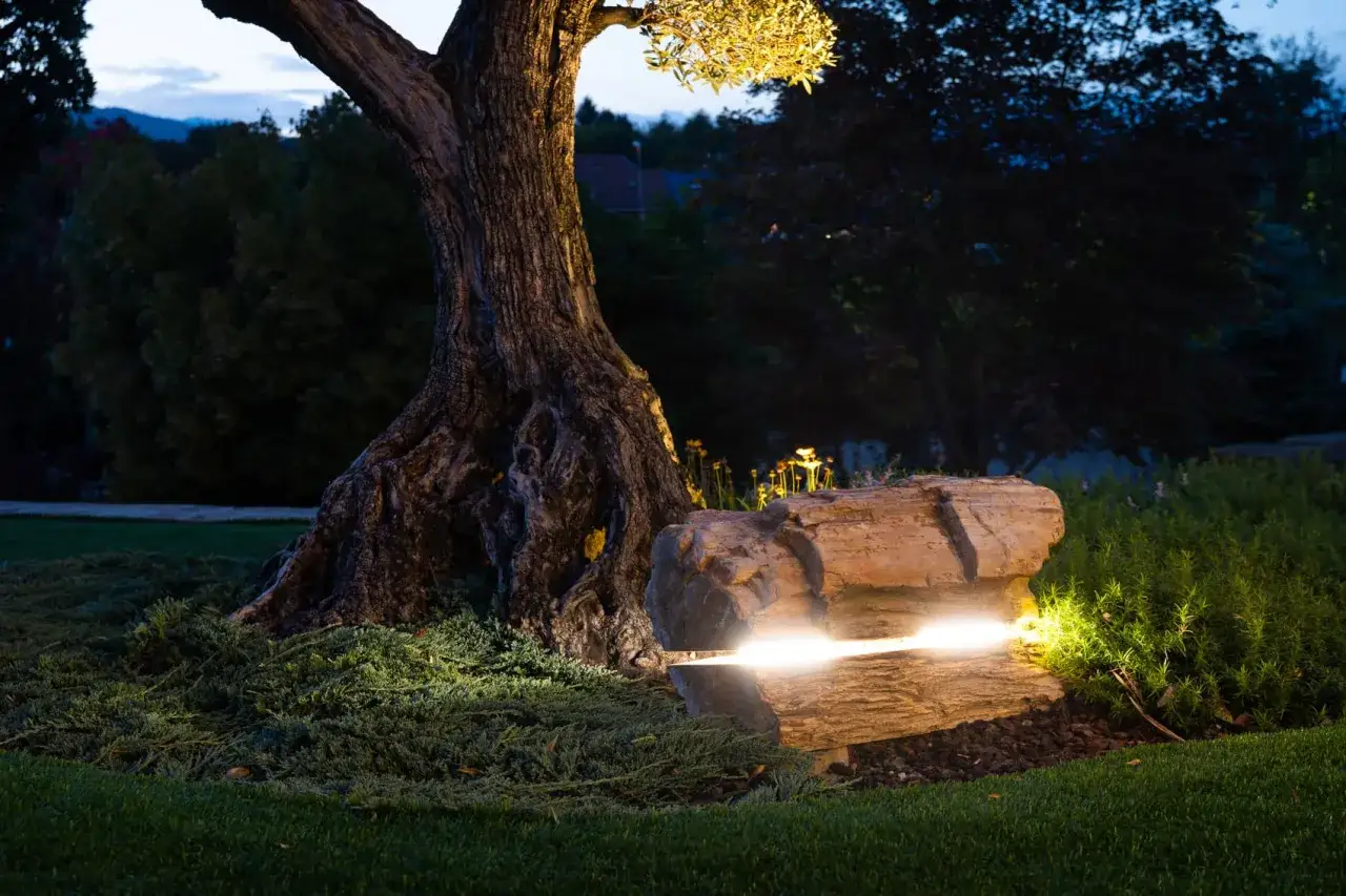 Un tronco d'albero illuminato e una roccia con luce integrata offrono splendide idee per illuminare il giardino, creando un'atmosfera magica.