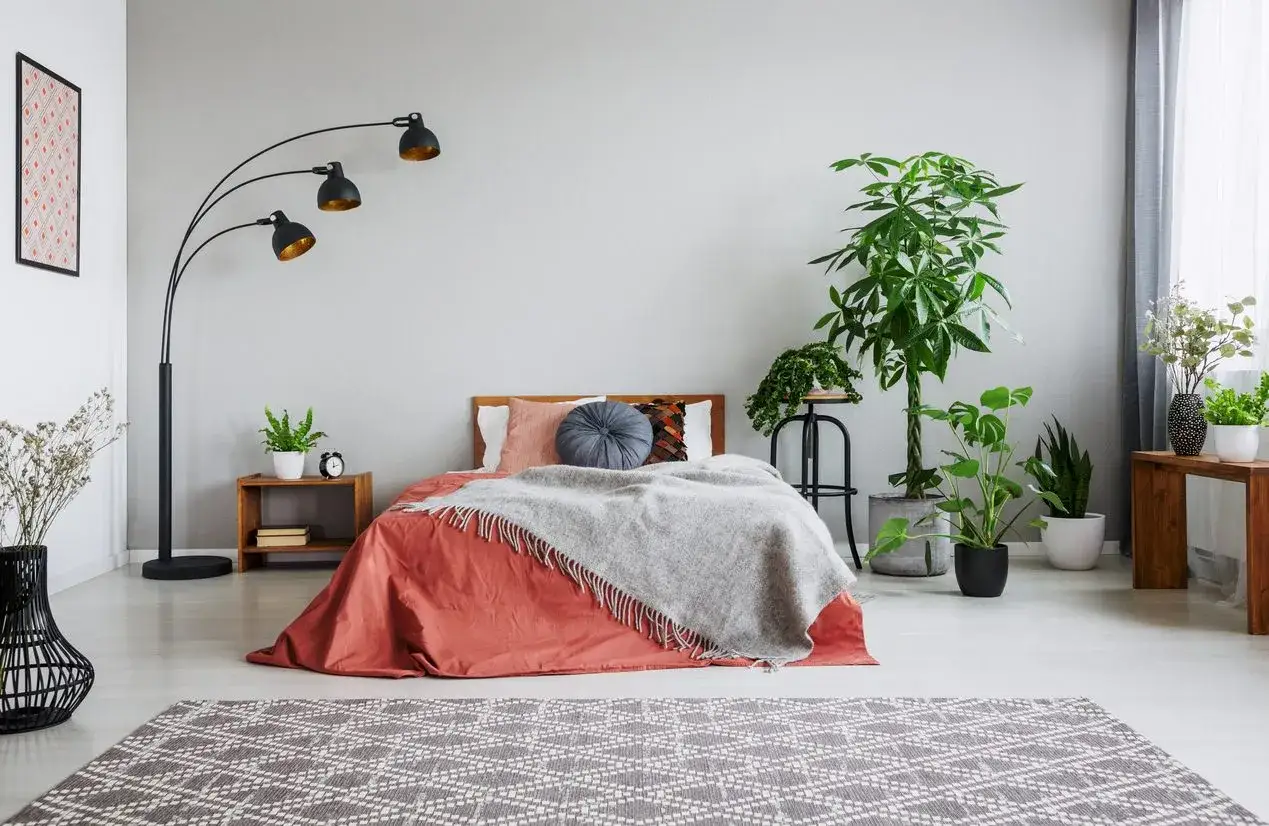Camera da letto accogliente con letto arancione, coperta grigia e tante piante che purificano l'aria.