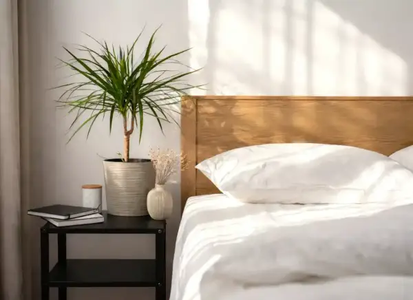 Un angolo rilassante con piante che purificano l'aria in camera da letto. Un vaso con una pianta verde, un piccolo vaso con fiori secchi e libri su un comodino accanto a un letto bianco.