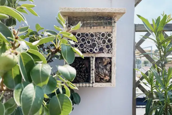 Casa per insetti con canne di bambù, pigne e corteccia, un modo per attirare le api e altri impollinatori nel tuo giardino.