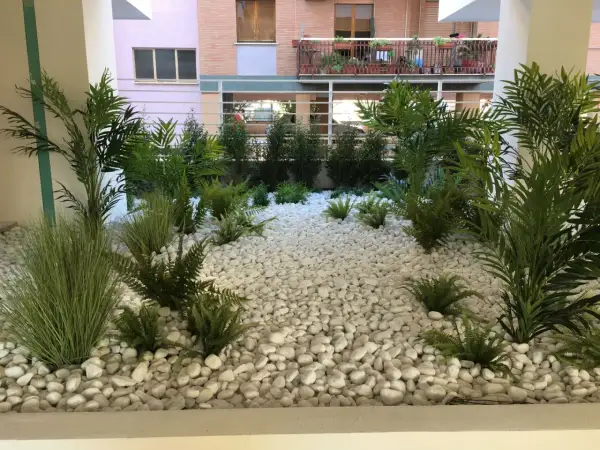 Un rigoglioso giardino a bassa manutenzione con felci e piante verdi su ghiaia bianca, che crea un'oasi moderna e pulita.