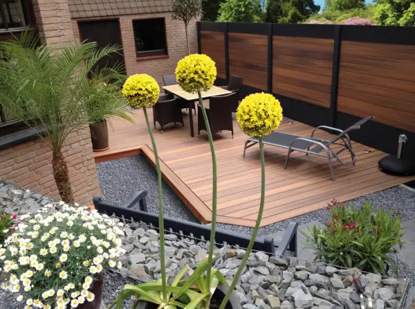 Giardini moderni minimal con tre sfere gialle di Allium, una palma, mobili da esterno e un'elegante recinzione in legno.