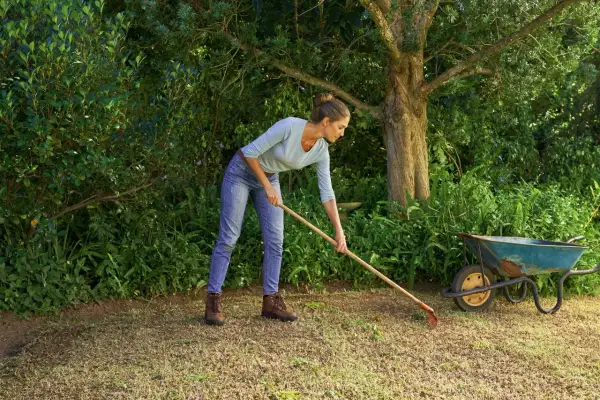 Donna con rastrello prepara il terreno per rifare il prato da zero, con carriola vicina.