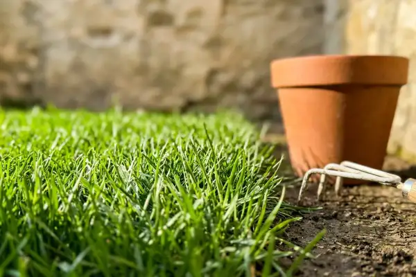 Un prato verde e rigoglioso, pronto per essere curato. Un vaso di terracotta e un rastrello suggeriscono come avere un prato senza erbacce.
