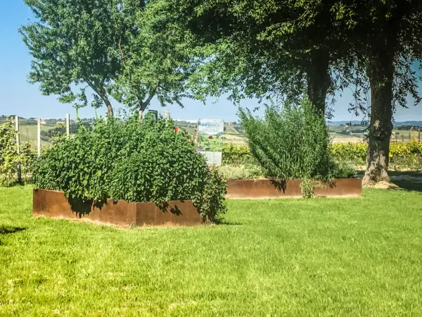 Un giardino con aiuole in acciaio corten cos'è: un materiale resistente e dall'estetica unica che valorizza le piante.