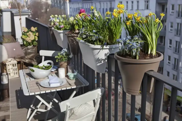 Balcone fiorito con esposizione sud ovest. Tavolino apparecchiato con insalata e fiori primaverili, ideale per godersi il sole.